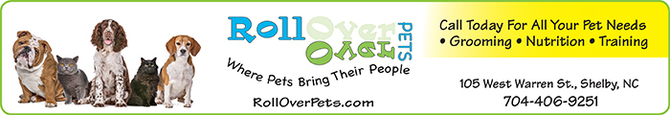 Advertisement
